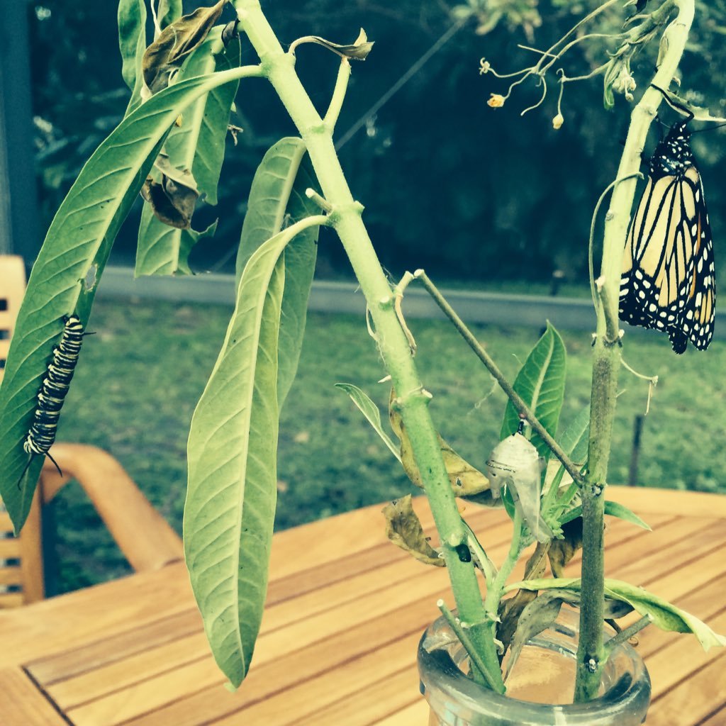 mrsm331566's profile picture. 