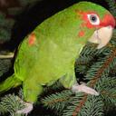 Chris Halter - @halterc - Twitter