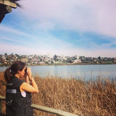 lamacatorres's profile picture. Socióloga estudios socioambientales.
Me muevo en bicicleta
Co fundadora de ONG Planificable
Sigue a @planificable
https://t.co/jXAtUJ83jl