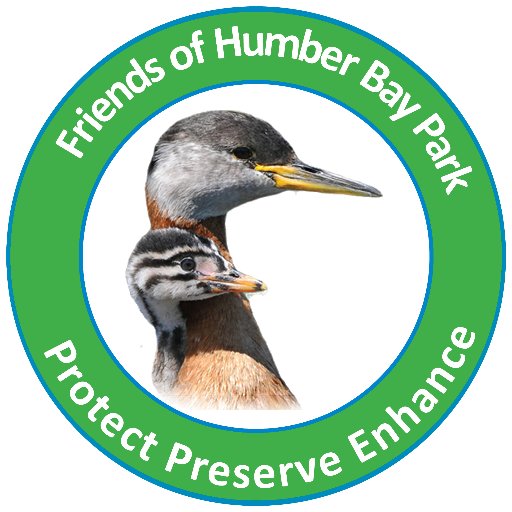 We are Friends of Humber Bay Park, a non-profit organization to preserve nature and protect animals at Humber Bay Park.
