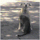 rafaelmorales53's profile picture. 