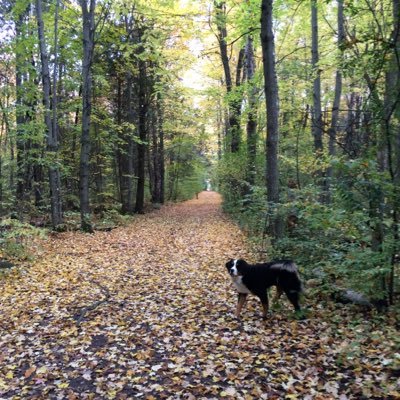 Godinger29's profile picture. Sphinx by river