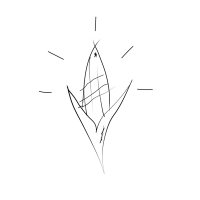 Corn Coast Co. (@corncoastco) 's Twitter Profile