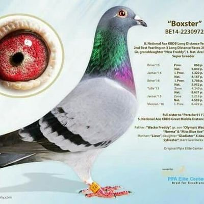 alemdar2012's profile picture. 