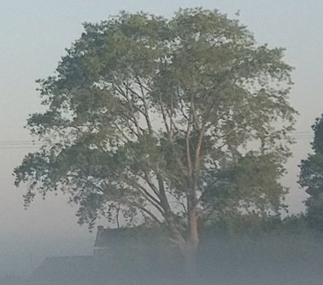 simkopa's profile picture. Farm War : La fourche contre attaque. - Economy - Global News - TechFood - Hybride Urbain/Campagne