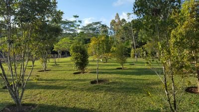 Anyona9's profile picture. Pharmacist.MPSK.