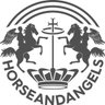 horseandangels's profile picture. Pferd und Reiter sind beide Engel. Hier liegt der Ursprung unserer neuen Lifestylemarke.