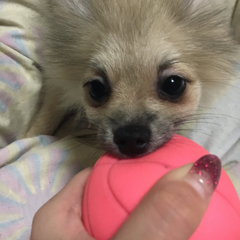 マツエクモデル募集しています！