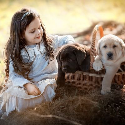 ManiKing_Vijay's profile picture. 