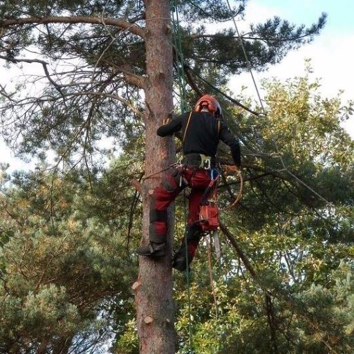 A page dedicated to all the UK Tree Surgeons out there!