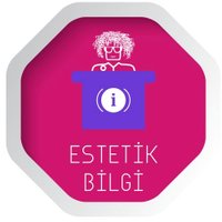 Estetik Bilgi(@bilgiestetik) 's Twitter Profile Photo