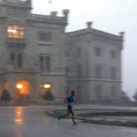 Gabriele Donato (@donaglia) 's Twitter Profile Photo