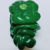 greentea🍵 (@mizmay8) 's Twitter Profile