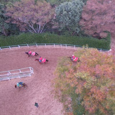 Win5JRA's profile picture. 