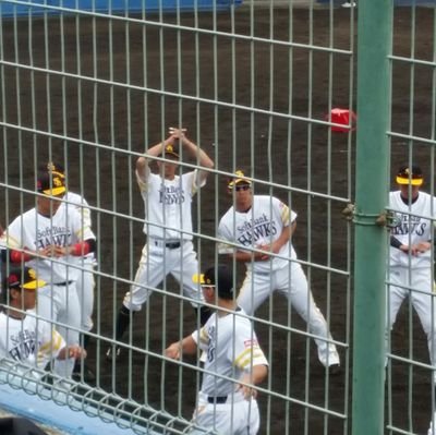 dmocOIScRLvYGl5's profile picture. 鷹党