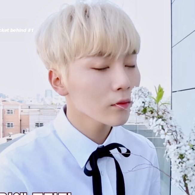 lq account dedicated for all rounder #승관🍊Main Vocal of Seventeen | The 부 in #부석순