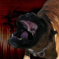 💀 Zyklon👾B 👽 (@zyklon_b88b) 's Twitter Profile