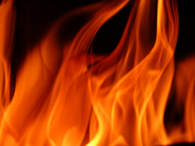 LeFeu's profile picture. 