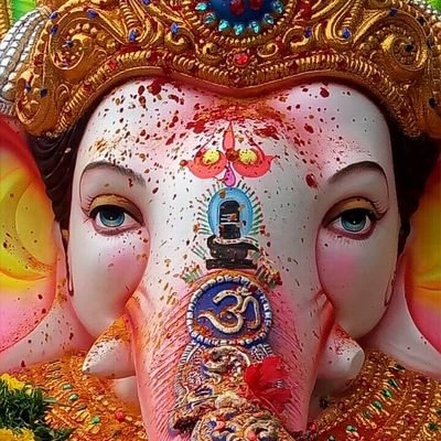 fad2a242b7af463's profile picture. 