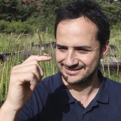 Ecologist | Ramón y Cajal Fellow | @CSIC - Museo Nacional de Ciencias Naturales | International @Biogeography Society | @humboldtday