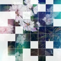 F O X T U R E (@foxture) 's Twitter Profile