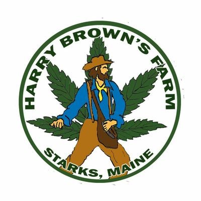 Gathering on The Hill in support of marijuana law reform since 1991 for celebration by free people in free country. Good Green Love. #HBF #Cannabis #Festival