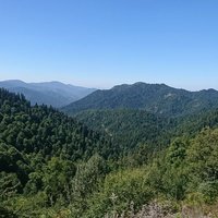 ERDEM BAŞ🌍 (@erdem_bas) Twitter profile photo