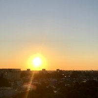 ピーちゃん (千葉のピーちゃん) (@green_garden429) 's Twitter Profile Photo