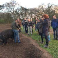 Piet Rombouts (@pamrombouts) 's Twitter Profile Photo