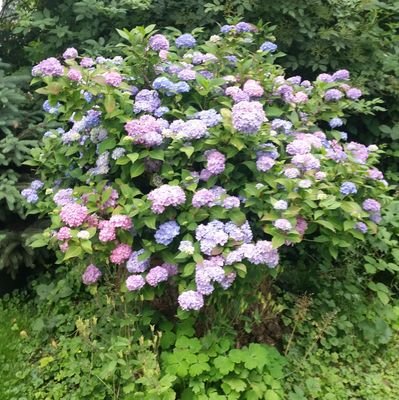 GoTeamRaza's profile picture. #DarkMatterRetweetMachine #Stargate