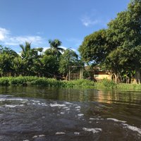 manadelmar (@manadelmar) 's Twitter Profile