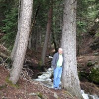 bowler73 (@gettinglost73) 's Twitter Profile