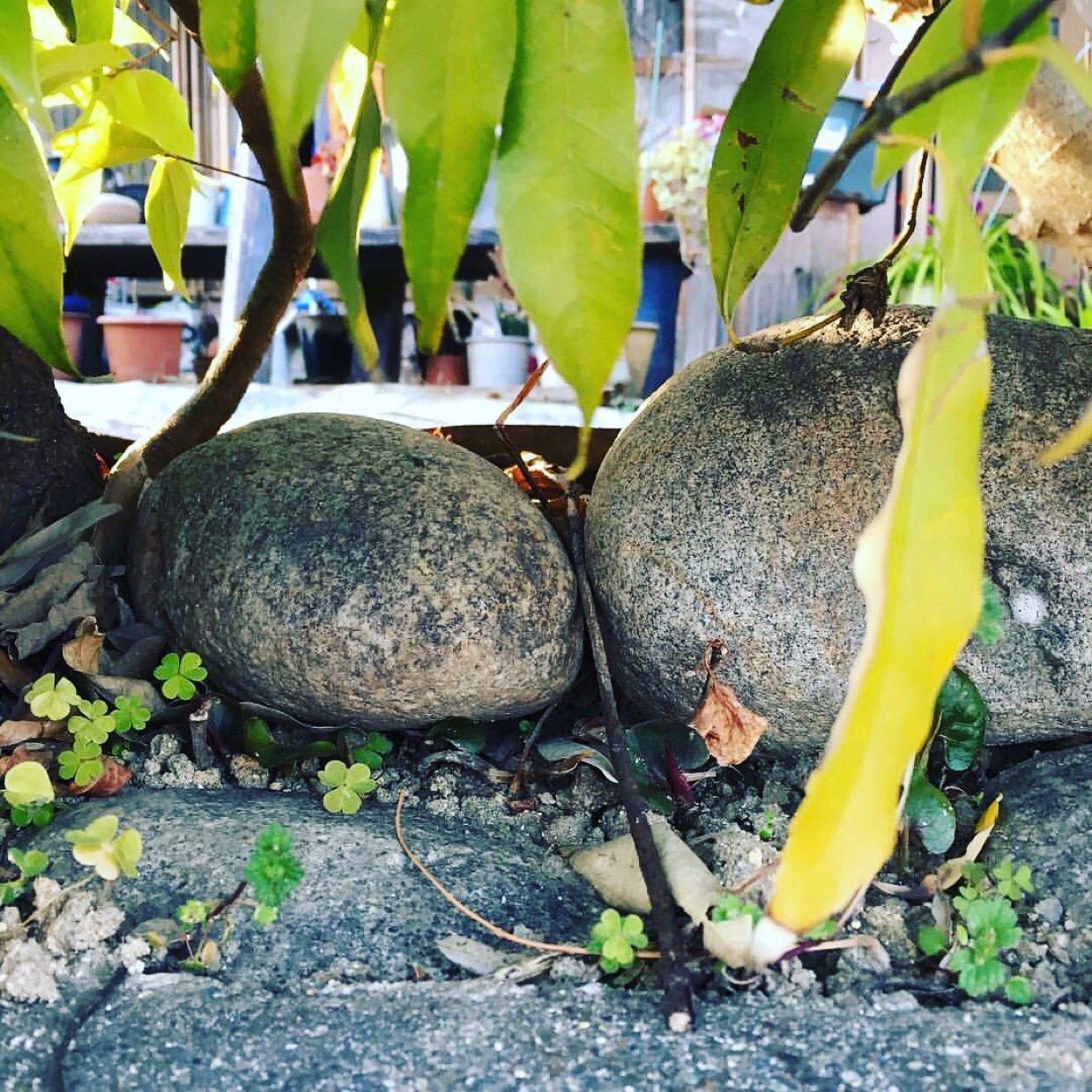 yuna1220f's profile picture. 