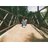 _saraiphoto_'s profile image
