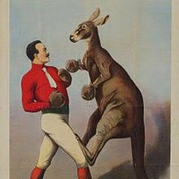 Joseph Button (@mrjbutton) 's Twitter Profile