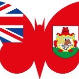 Moth Worlds (@mothworlds) 's Twitter Profile