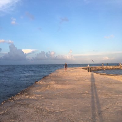 arcog1's profile picture. I believe in the values that have made America exceptional: liberty, hard work, honesty and religion. I believe in limited government. I strongly support Israel