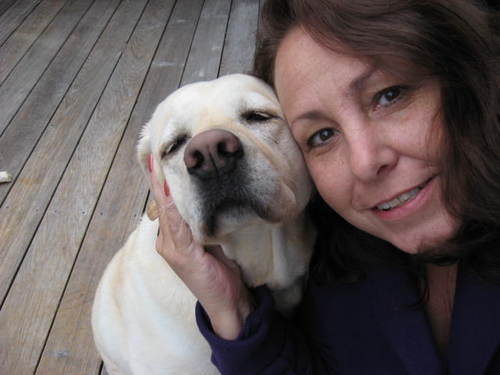 origcin's profile picture. 