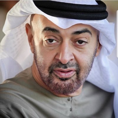 mayed_alkadhar's profile picture. 