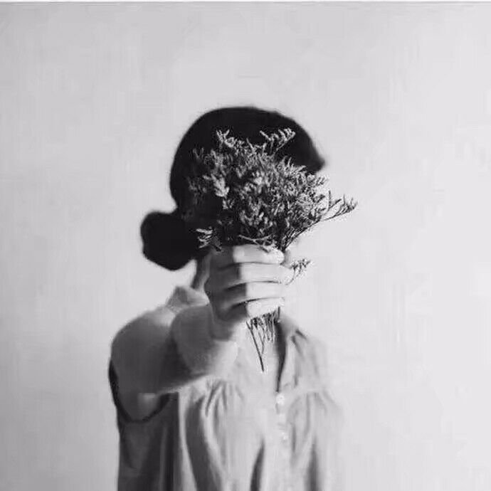 alisavanessal's profile picture. 