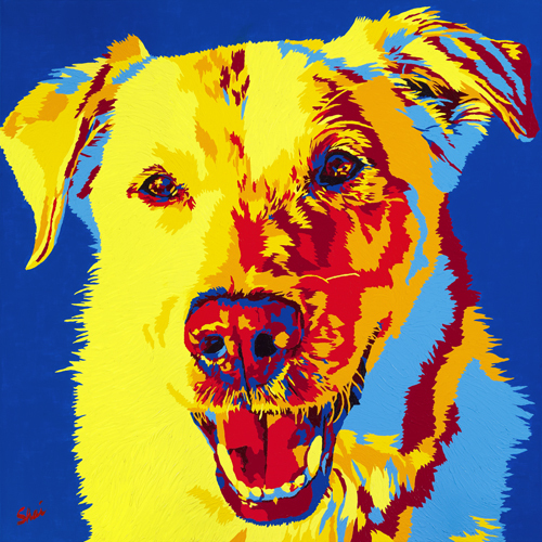 barkinglounge's profile picture. Seattle's Best Dog Daycare & Boarding Facility!