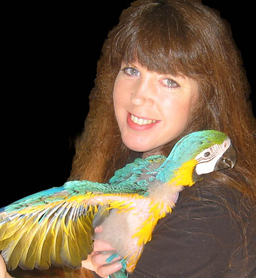 JH_Graphics's profile picture. Actively seeking employment  in graphic and web design. Proven multi industry  experience using graphic and business and accounting programs.