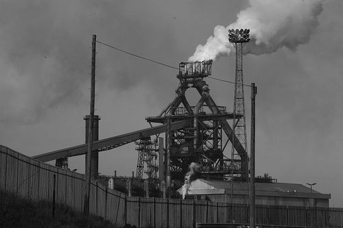 waynepanda's profile picture. I am a time Served Plater.