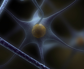 neuraltech's profile picture. 