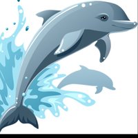 Dolphinbaby(@kvdintotv) 's Twitter Profile Photo