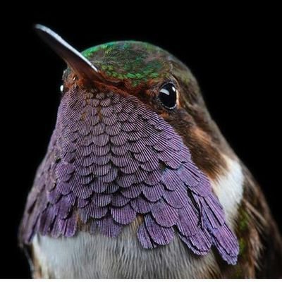 QuanGabriel's profile picture. 