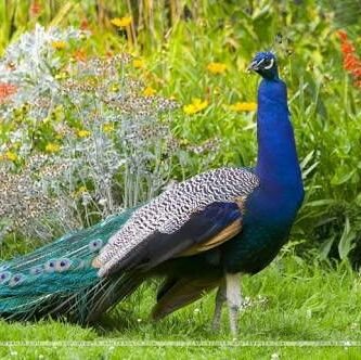 8ad18c4060804ba's profile picture. Very Very Happy