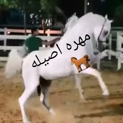 وظائف مهره اصيله