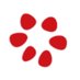 Pomegranate (@pomegranatecons) Twitter profile photo Pomegranate (@pomegranatecons) Twitter profile photo