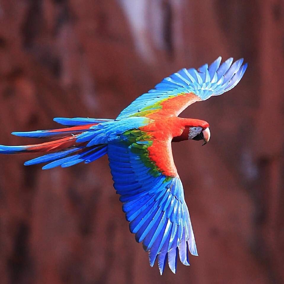 Upendra962842's profile picture. 